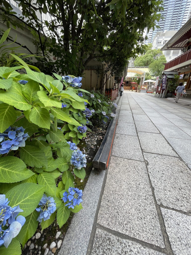 参道